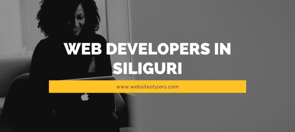 Top Web Developers in Delhi, Siliguri, Darjeeling, Kalimpong, Sikkim – India – Website Stylers